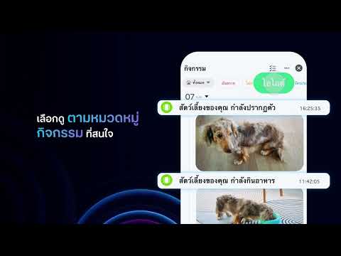 รู้พฤติกรรมสัตว์เลี้ยงตลอด 24 ชั่วโมง